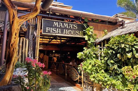 mama fish